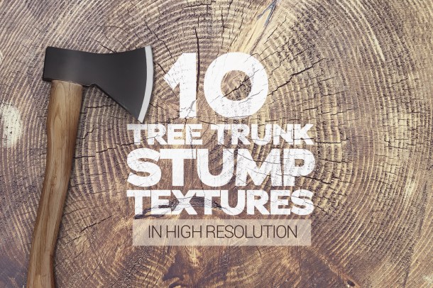 1 Tree Trunk Stump Textures x10 (2340)